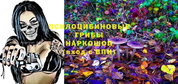 a pvp Гусиноозёрск