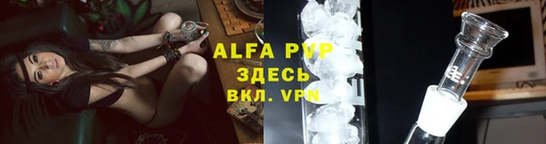 сатива Дмитриев