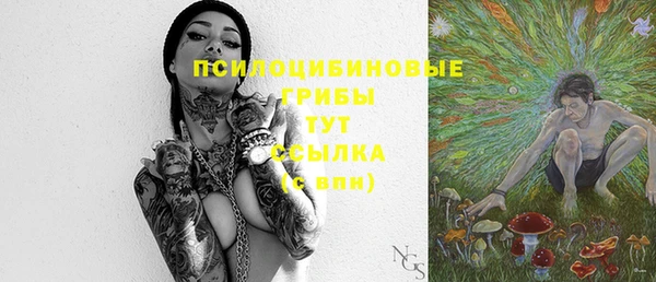a pvp Гусиноозёрск