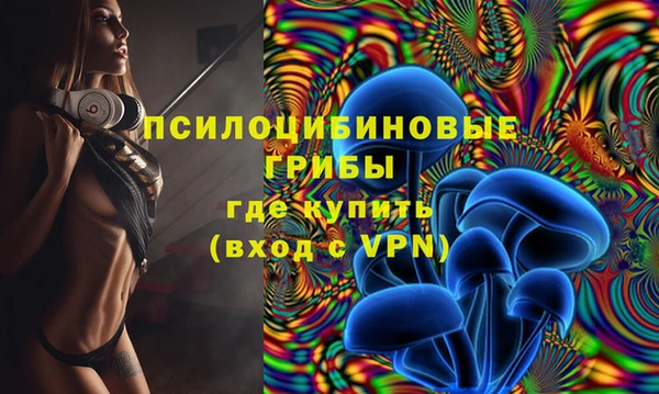 дживик Гусь-Хрустальный